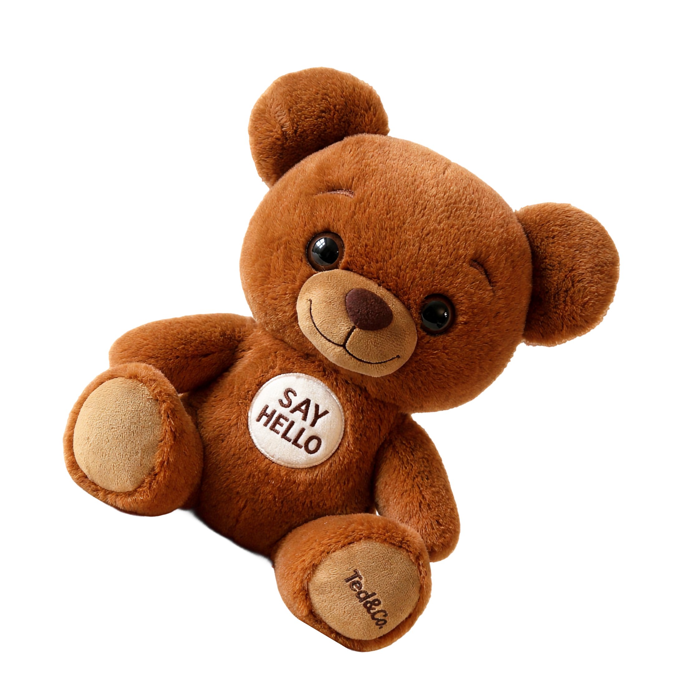 Ted, Smart Teddy