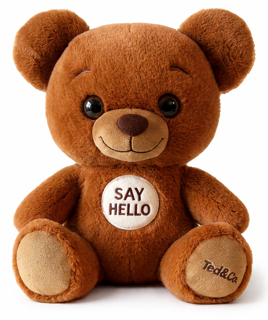 Ted, Smart Teddy