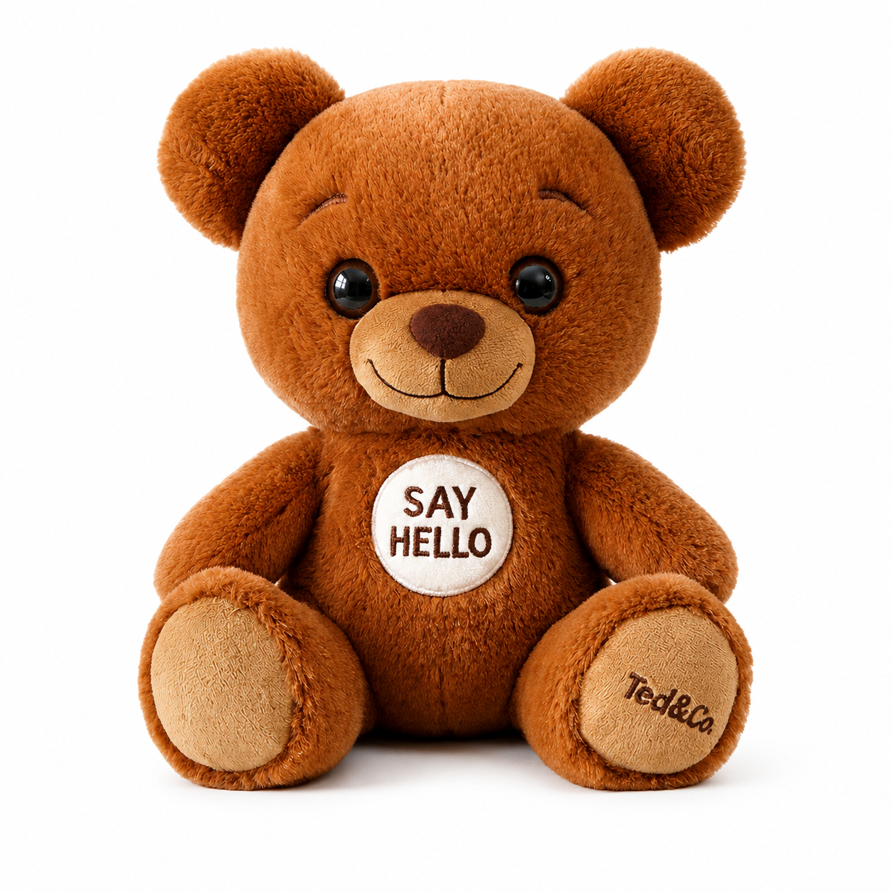 Ted - Smart Teddy