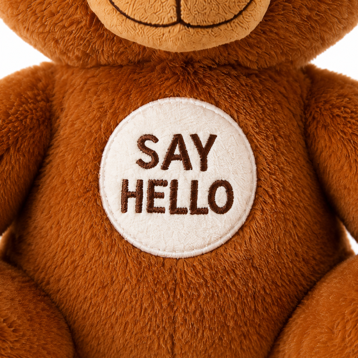 Ted - Smart Teddy