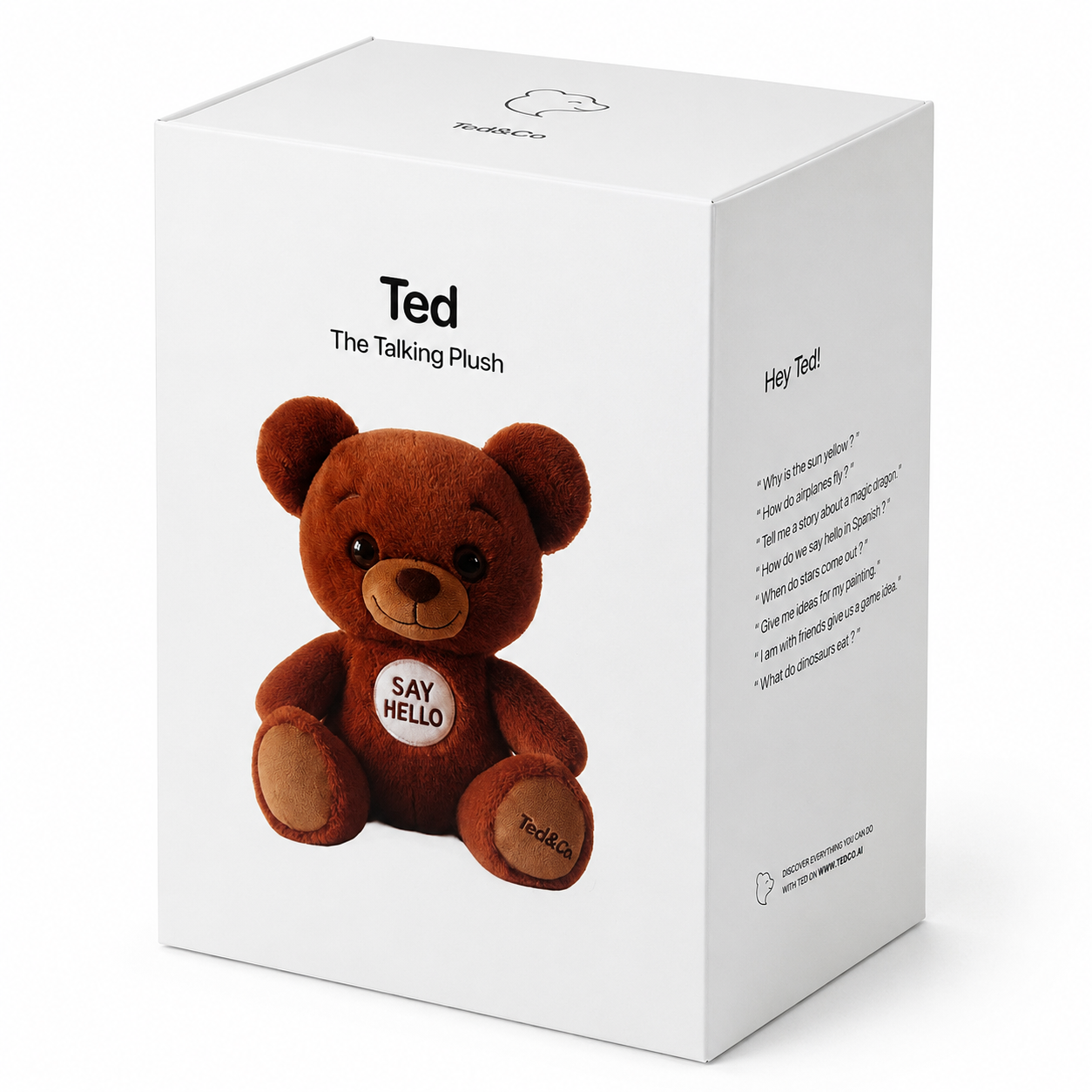 Ted - Smart Teddy