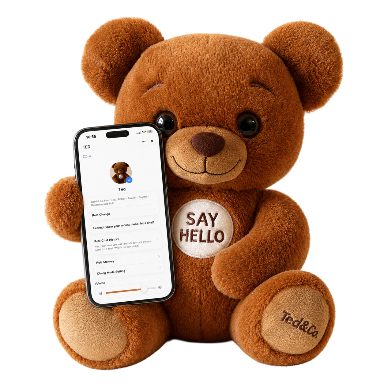 Ted&Co app on iPhone and Android